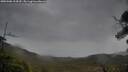 ./images/calvert/fitz-hugh-hecate/20250506/fitz-hugh-hecate20250506_114510M.jpg