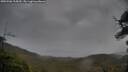 ./images/calvert/fitz-hugh-hecate/20250506/fitz-hugh-hecate20250506_115009M.jpg