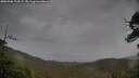 ./images/calvert/fitz-hugh-hecate/20250506/fitz-hugh-hecate20250506_115509M.jpg
