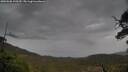 ./images/calvert/fitz-hugh-hecate/20250506/fitz-hugh-hecate20250506_120509M.jpg