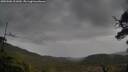 ./images/calvert/fitz-hugh-hecate/20250506/fitz-hugh-hecate20250506_121010M.jpg