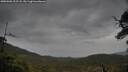 ./images/calvert/fitz-hugh-hecate/20250506/fitz-hugh-hecate20250506_122508M.jpg