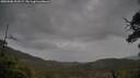 ./images/calvert/fitz-hugh-hecate/20250506/fitz-hugh-hecate20250506_123509M.jpg