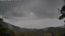 ./images/calvert/fitz-hugh-hecate/20250506/fitz-hugh-hecate20250506_124010M.jpg