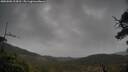 ./images/calvert/fitz-hugh-hecate/20250506/fitz-hugh-hecate20250506_124510M.jpg