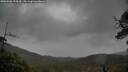 ./images/calvert/fitz-hugh-hecate/20250506/fitz-hugh-hecate20250506_125010M.jpg