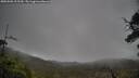 ./images/calvert/fitz-hugh-hecate/20250506/fitz-hugh-hecate20250506_125509M.jpg