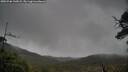 ./images/calvert/fitz-hugh-hecate/20250506/fitz-hugh-hecate20250506_130008M.jpg