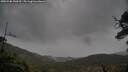 ./images/calvert/fitz-hugh-hecate/20250506/fitz-hugh-hecate20250506_130510M.jpg