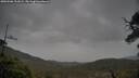 ./images/calvert/fitz-hugh-hecate/20250506/fitz-hugh-hecate20250506_131008M.jpg