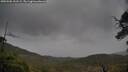 ./images/calvert/fitz-hugh-hecate/20250506/fitz-hugh-hecate20250506_131509M.jpg