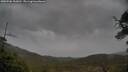 ./images/calvert/fitz-hugh-hecate/20250506/fitz-hugh-hecate20250506_132010M.jpg