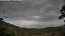 ./images/calvert/fitz-hugh-hecate/20250506/fitz-hugh-hecate20250506_134009M.jpg