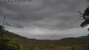 ./images/calvert/fitz-hugh-hecate/20250506/fitz-hugh-hecate20250506_134511M.jpg