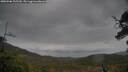 ./images/calvert/fitz-hugh-hecate/20250506/fitz-hugh-hecate20250506_135510M.jpg