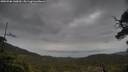 ./images/calvert/fitz-hugh-hecate/20250506/fitz-hugh-hecate20250506_140010M.jpg