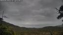 ./images/calvert/fitz-hugh-hecate/20250506/fitz-hugh-hecate20250506_140509M.jpg