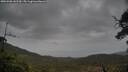 ./images/calvert/fitz-hugh-hecate/20250506/fitz-hugh-hecate20250506_141509M.jpg