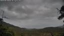 ./images/calvert/fitz-hugh-hecate/20250506/fitz-hugh-hecate20250506_142010M.jpg