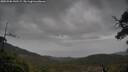 ./images/calvert/fitz-hugh-hecate/20250506/fitz-hugh-hecate20250506_142509M.jpg