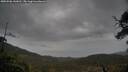 ./images/calvert/fitz-hugh-hecate/20250506/fitz-hugh-hecate20250506_143011M.jpg