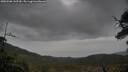 ./images/calvert/fitz-hugh-hecate/20250506/fitz-hugh-hecate20250506_143510M.jpg