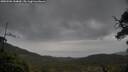 ./images/calvert/fitz-hugh-hecate/20250506/fitz-hugh-hecate20250506_144010M.jpg