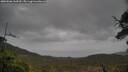 ./images/calvert/fitz-hugh-hecate/20250506/fitz-hugh-hecate20250506_144510M.jpg