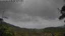 ./images/calvert/fitz-hugh-hecate/20250506/fitz-hugh-hecate20250506_150510M.jpg