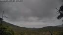 ./images/calvert/fitz-hugh-hecate/20250506/fitz-hugh-hecate20250506_151010M.jpg