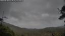 ./images/calvert/fitz-hugh-hecate/20250506/fitz-hugh-hecate20250506_151510M.jpg