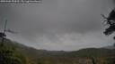 ./images/calvert/fitz-hugh-hecate/20250506/fitz-hugh-hecate20250506_152009M.jpg