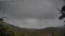 ./images/calvert/fitz-hugh-hecate/20250506/fitz-hugh-hecate20250506_152509M.jpg