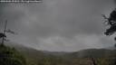 ./images/calvert/fitz-hugh-hecate/20250506/fitz-hugh-hecate20250506_153010M.jpg