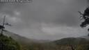 ./images/calvert/fitz-hugh-hecate/20250506/fitz-hugh-hecate20250506_153509M.jpg