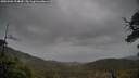 ./images/calvert/fitz-hugh-hecate/20250506/fitz-hugh-hecate20250506_154010M.jpg