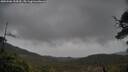 ./images/calvert/fitz-hugh-hecate/20250506/fitz-hugh-hecate20250506_154510M.jpg