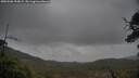 ./images/calvert/fitz-hugh-hecate/20250506/fitz-hugh-hecate20250506_155009M.jpg