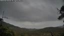 ./images/calvert/fitz-hugh-hecate/20250506/fitz-hugh-hecate20250506_155510M.jpg