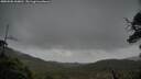 ./images/calvert/fitz-hugh-hecate/20250506/fitz-hugh-hecate20250506_160010M.jpg