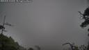 ./images/calvert/fitz-hugh-hecate/20250506/fitz-hugh-hecate20250506_161010M.jpg