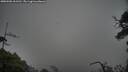 ./images/calvert/fitz-hugh-hecate/20250506/fitz-hugh-hecate20250506_161510M.jpg
