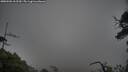 ./images/calvert/fitz-hugh-hecate/20250506/fitz-hugh-hecate20250506_162509M.jpg