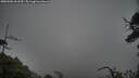 ./images/calvert/fitz-hugh-hecate/20250506/fitz-hugh-hecate20250506_163509M.jpg