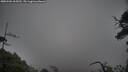 ./images/calvert/fitz-hugh-hecate/20250506/fitz-hugh-hecate20250506_165009M.jpg
