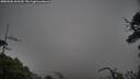 ./images/calvert/fitz-hugh-hecate/20250506/fitz-hugh-hecate20250506_165510M.jpg