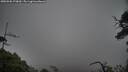 ./images/calvert/fitz-hugh-hecate/20250506/fitz-hugh-hecate20250506_170010M.jpg