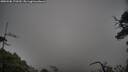 ./images/calvert/fitz-hugh-hecate/20250506/fitz-hugh-hecate20250506_170509M.jpg