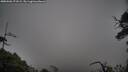 ./images/calvert/fitz-hugh-hecate/20250506/fitz-hugh-hecate20250506_171009M.jpg