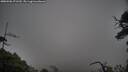 ./images/calvert/fitz-hugh-hecate/20250506/fitz-hugh-hecate20250506_171510M.jpg